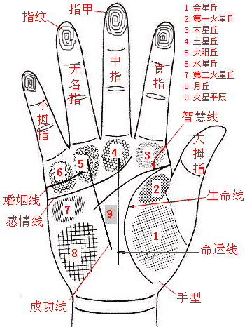 感情坎坷婚姻不顺女人的几种手相