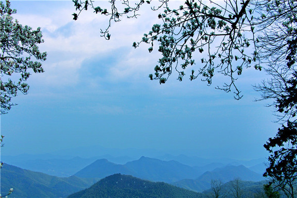 仙境莫干山，山色空濛雨亦奇