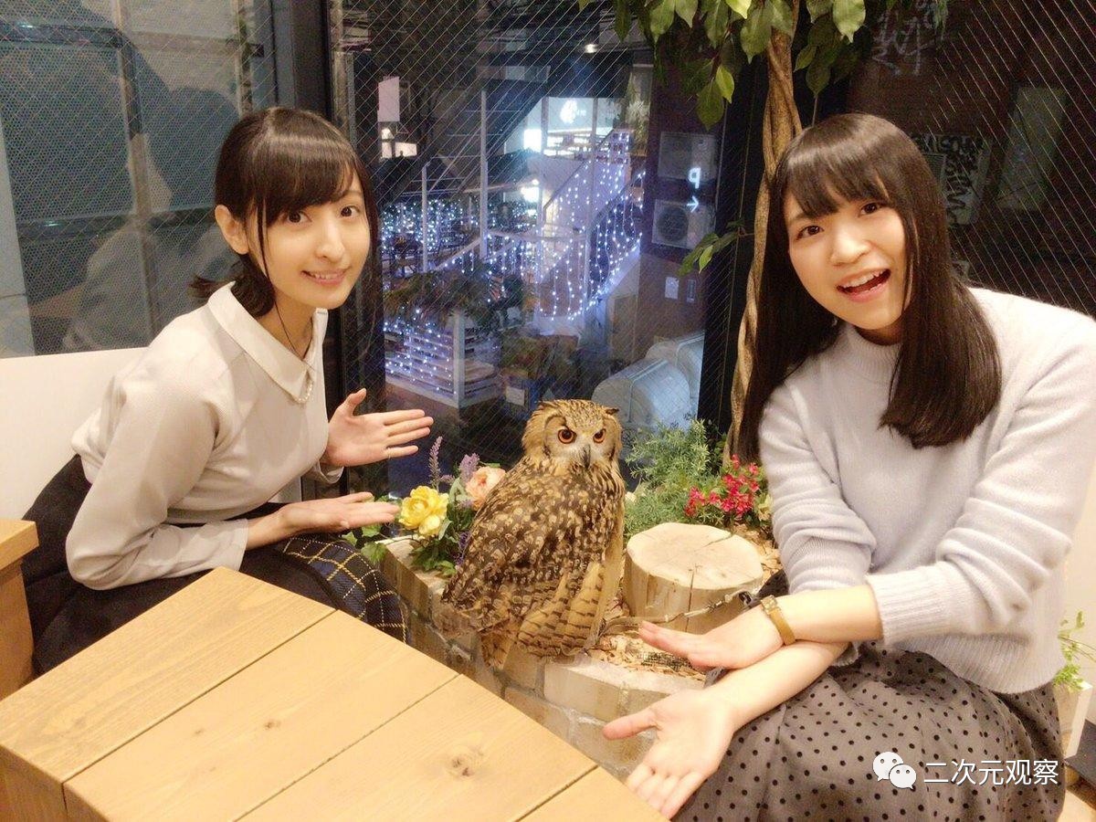2017年4月新番介绍，这些动画值得你追番！