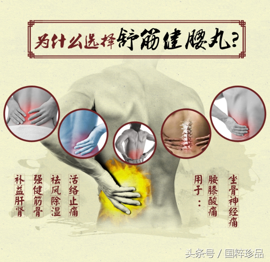 解说国粹名药：舒筋健腰丸