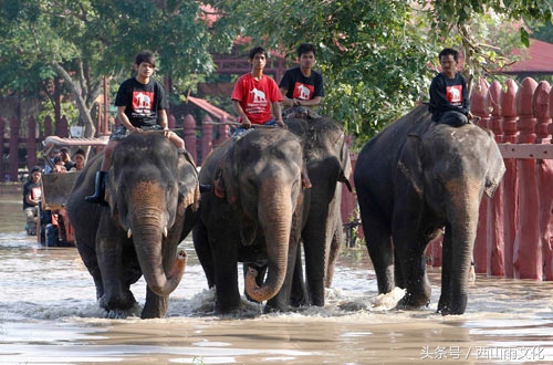 泰国旅游注意事项，百分之八十的人不知道