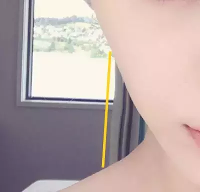 我脸大、肥|可还是要美,不要假