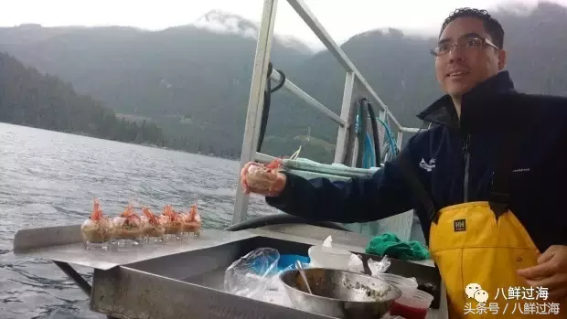 加拿大牡丹虾：甘甜醇厚的顶级刺身，为什么我们吃的都是雌性的？