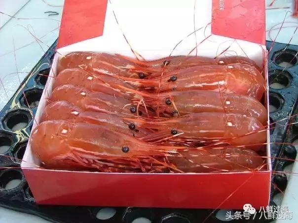 牡丹虾多少钱一斤(加拿大牡丹虾)