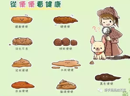 大夫,宝宝大便这样是什么问题?答案都在这里