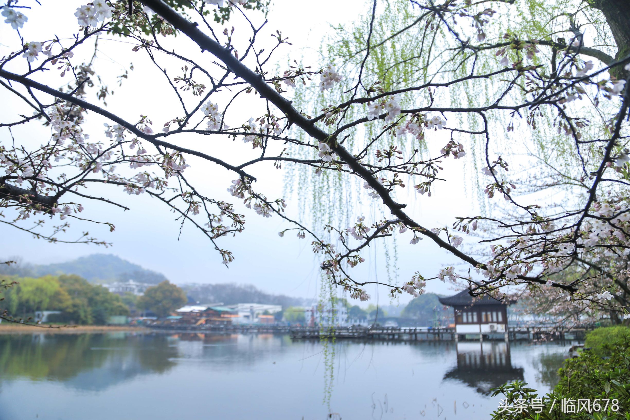 西湖美景三月天，烟雨楼台醉人心