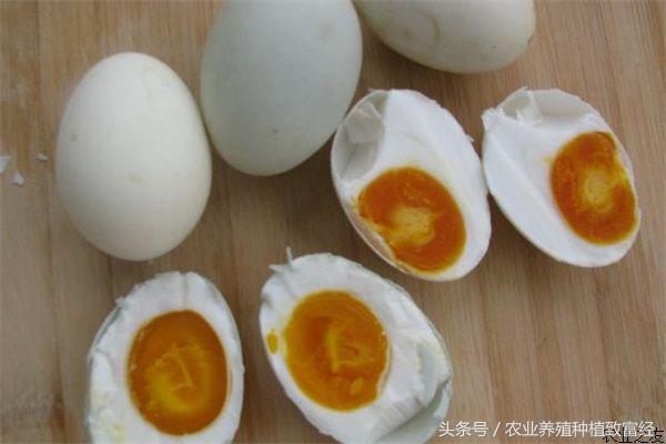 鹅蛋的七种腌制方法介绍