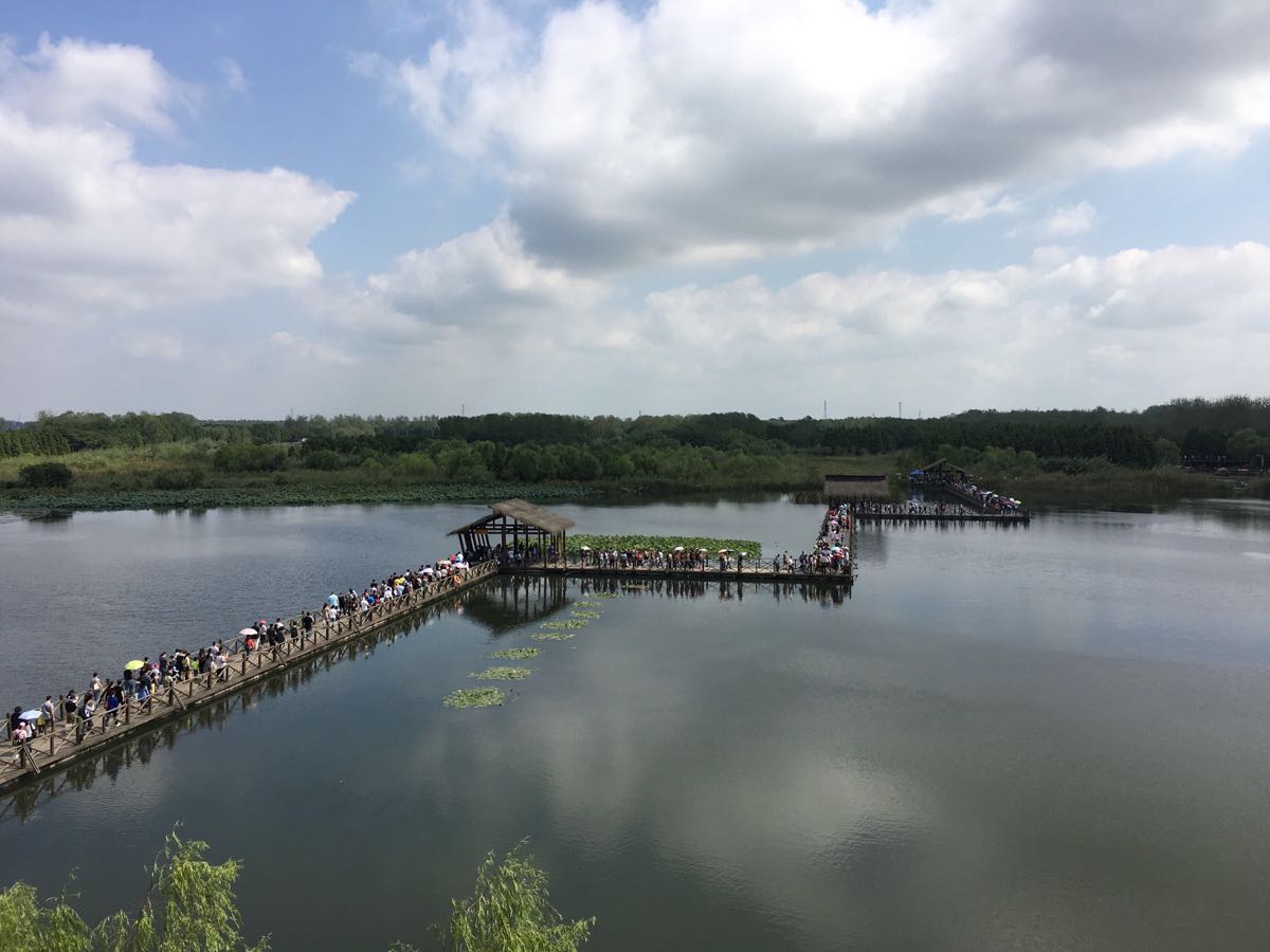 江苏泰州最著名的十大旅游景点,你有去过吗?