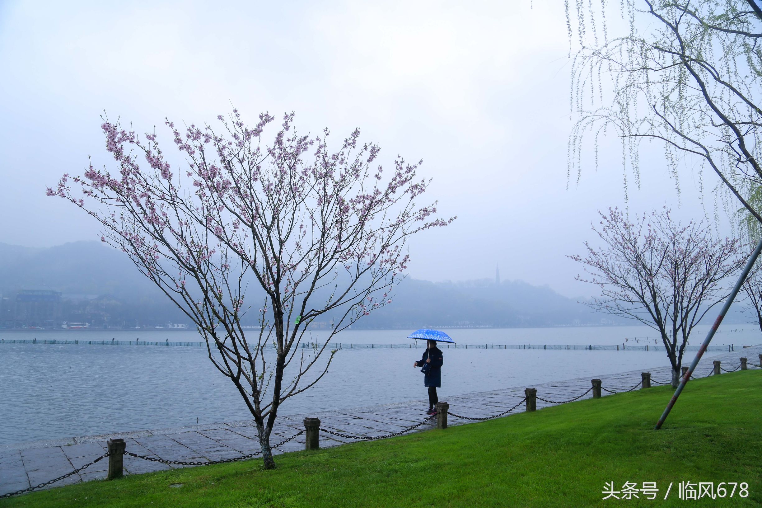 西湖美景三月天，烟雨楼台醉人心