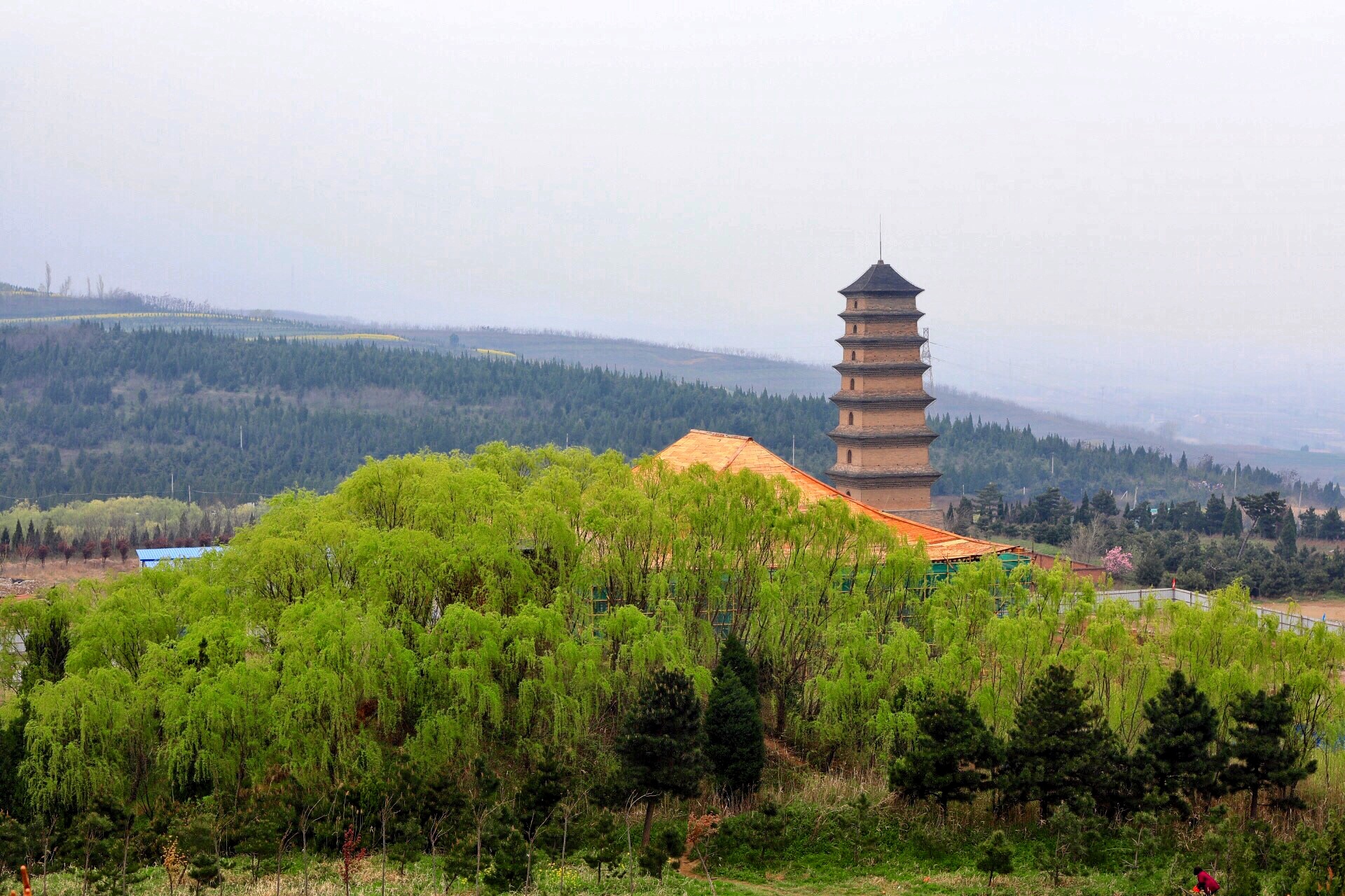 仙游寺在哪仙游仙公寺在哪里