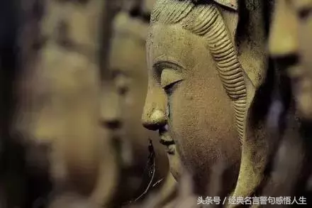 逆流而上的活鱼：勇往直前，不畏艰难的励志启示