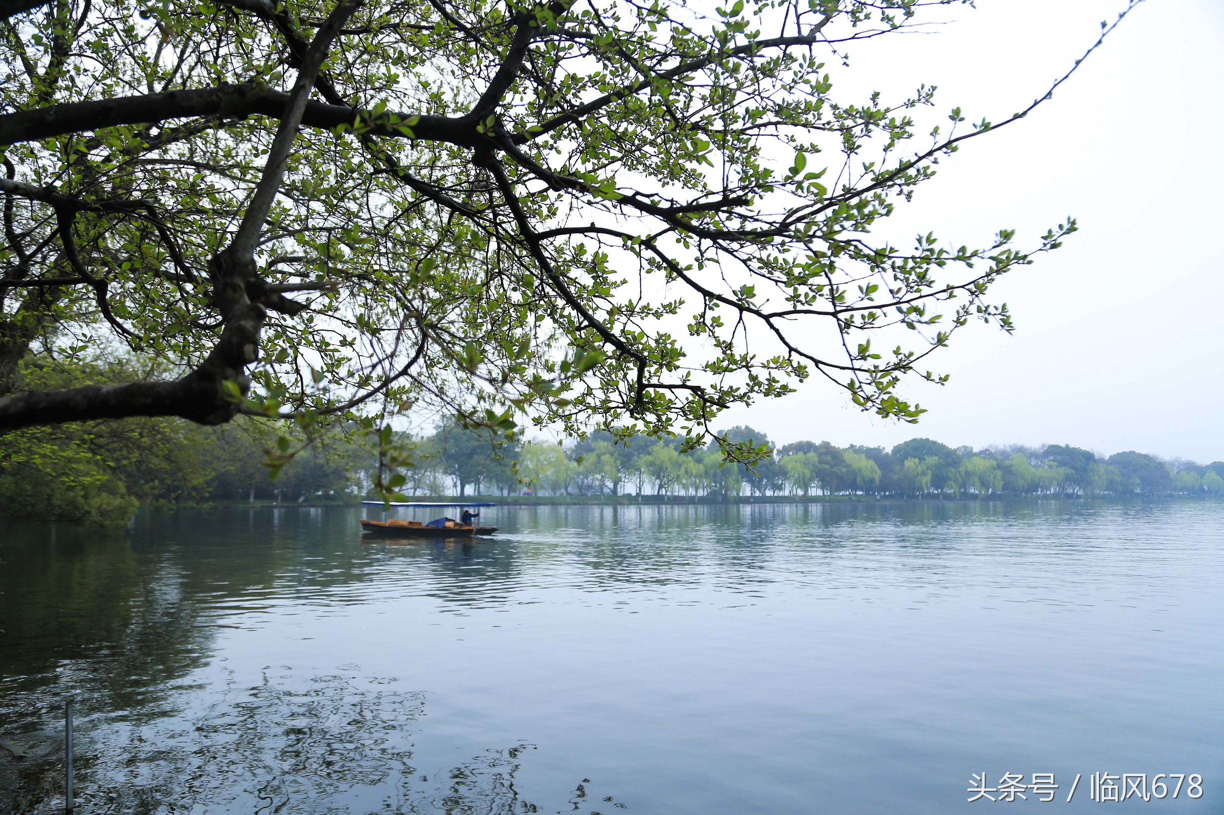 西湖美景三月天，烟雨楼台醉人心