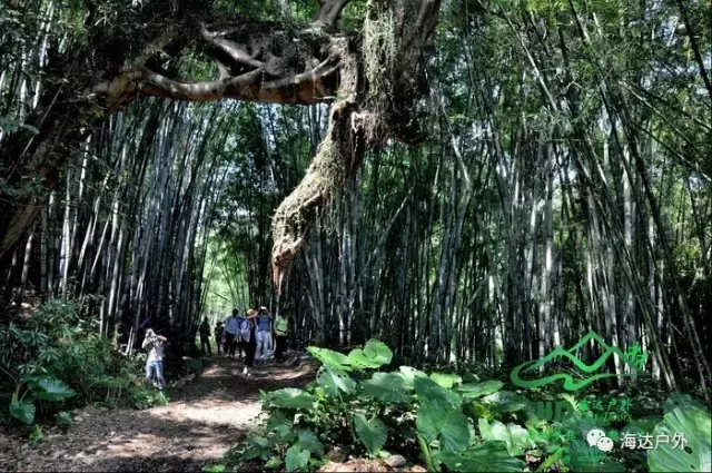 海达拉拔脚怒射直挂死角(惠东香溪河徒步，行摄龙门香溪古堡)