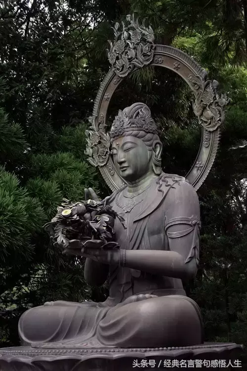 活鱼逆流而上，死魚随波逐流（读了5遍）