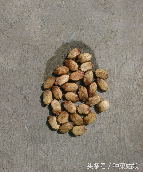 (yu)ʱͷҪݶò֣