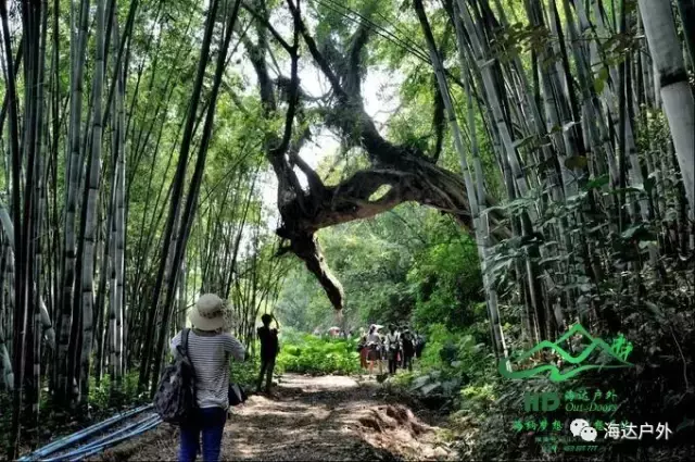 海达拉拔脚怒射直挂死角(惠东香溪河徒步，行摄龙门香溪古堡)