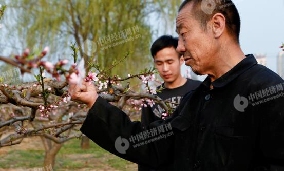 本刊记者探访雄安新区，对话雄安人：一夜之间，他们迈入新区生活