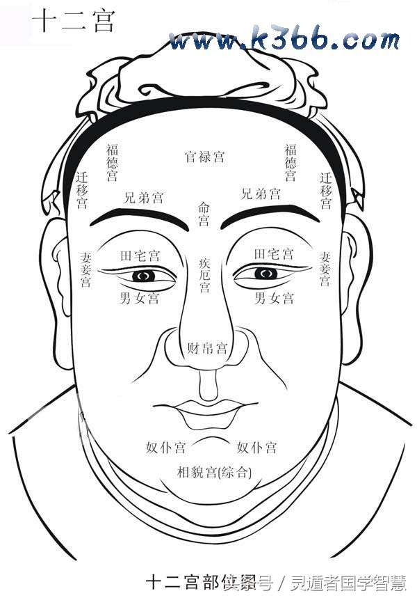 从一个人眉毛，就能看到很多信息，最重要是看名誉！