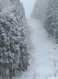 与日本的第二次邂逅：下吕汤之馆岛，白川乡合掌村，白马高地滑雪，东京迪斯尼