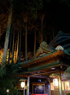 与日本的第二次邂逅：下吕汤之馆岛，白川乡合掌村，白马高地滑雪，东京迪斯尼