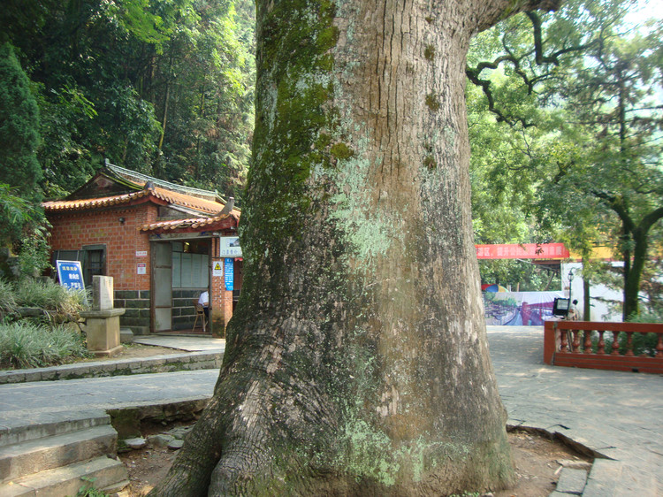 蓬莱仙境——福建风光之清水岩（泉州市游9安溪）