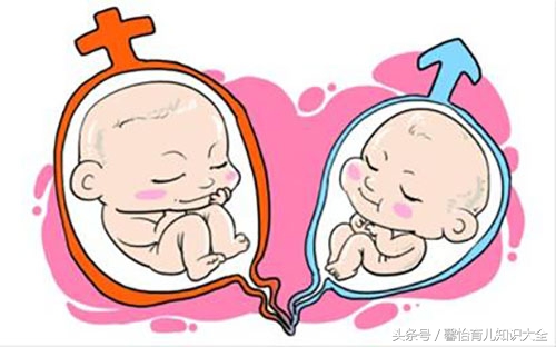 到底什么样的人才能怀上双胞胎？这龙凤胎的几率，更是让人可怕！
