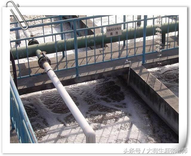 解读环境科学与工程类专业（附最新排名）