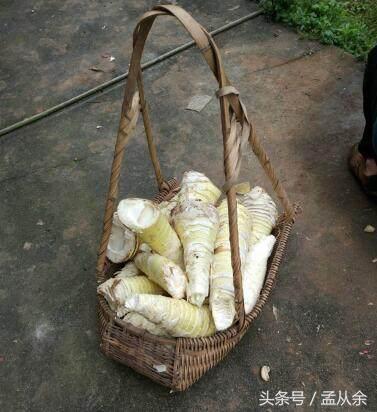 如何判断笋干发霉了(如果判断笋是否发霉) - 风集网