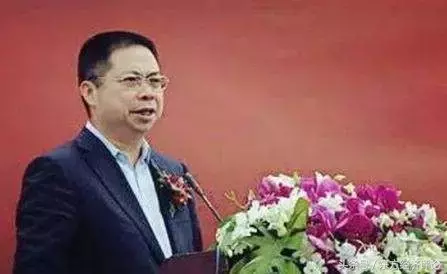 冒着被骂哭的风险,万科独董华生披露股民不知道的真相