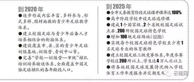 昆明什么时候才会有中超球队(板扎！云南足球还会再回中超 2020年昆明将有自己的职业足球队)