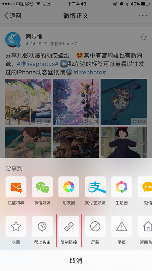 P.Cat 是目前 iOS 平台上最厉害的全能抓图猫，图片视频都能抓！