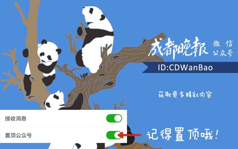 成都宠物领养,成都宠物领养平台