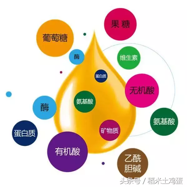 蜂蜜过期了怎么办?直接扔掉吗?