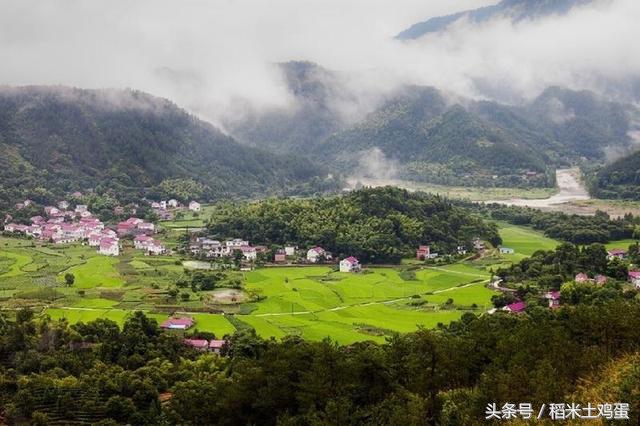 蜂蜜过期了怎么办？直接扔掉吗？