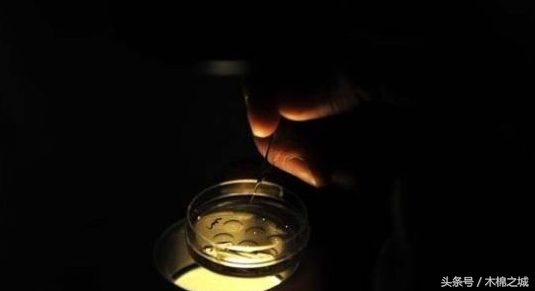 试管婴儿全过程：扎200多针！下辈子你还想做女人吗？