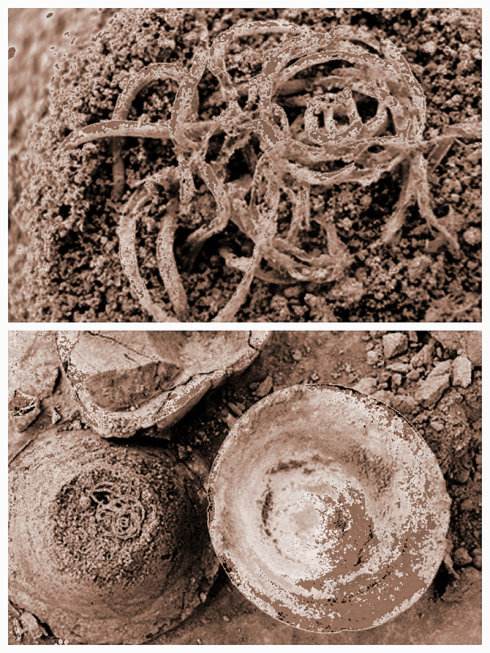 文博专业上班就像上坟？人们还乐此不疲？只因对它爱得深沉！