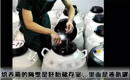 做试管婴儿全过程（附图），男人看完真的心疼女性！