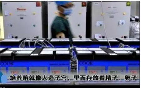 做试管婴儿全过程（附图），男人看完真的心疼女性！