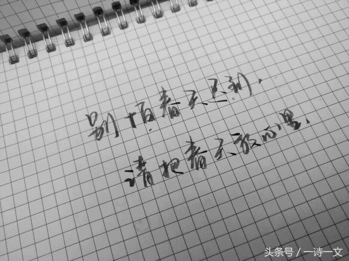 愿这世界美好，阳光照亮黑夜