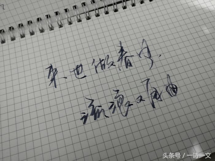 愿这世界美好，阳光照亮黑夜