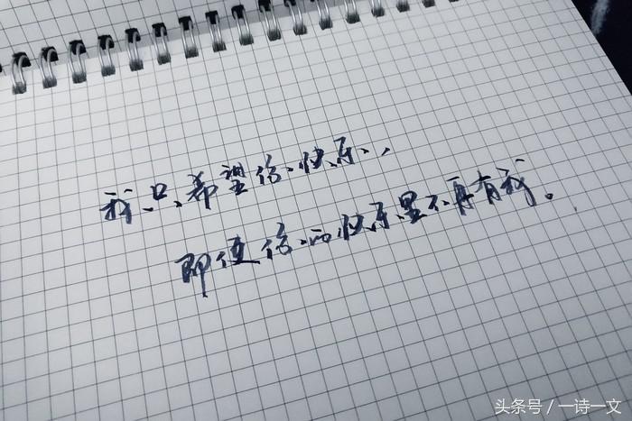 愿这世界美好，阳光照亮黑夜