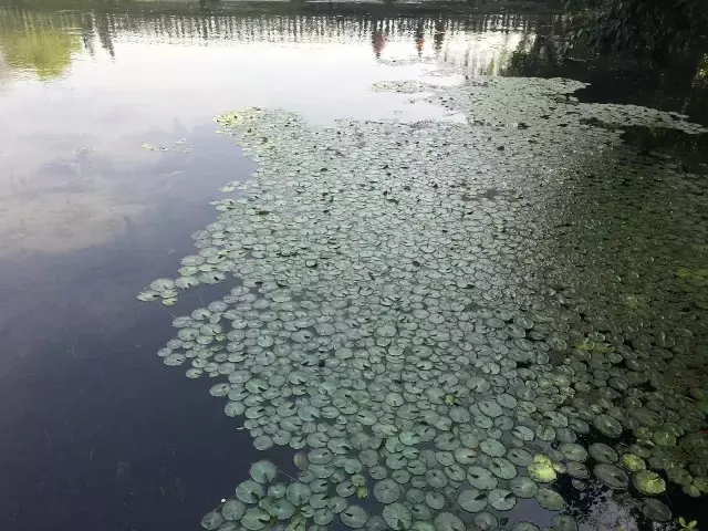 关于杭州｜欲把西湖比西子，淡妆浓抹总相宜