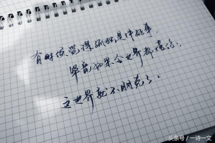 愿这世界美好，阳光照亮黑夜
