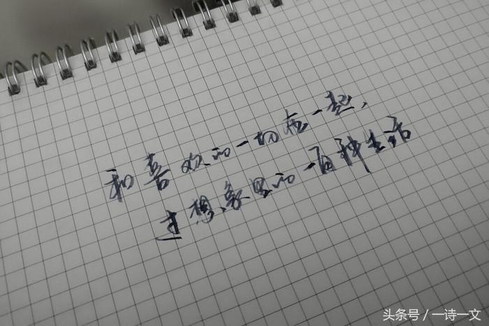 愿这世界美好，阳光照亮黑夜