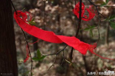 信阳灵山寺：国庙风范，人杰地灵，攻略灵山，一起探索自然的奥妙