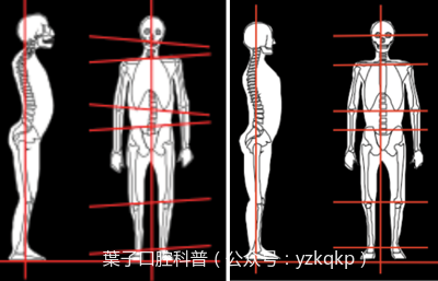 咬合骨疼痛是怎么回事(孩子吃东西时牙巴骨响或痛)