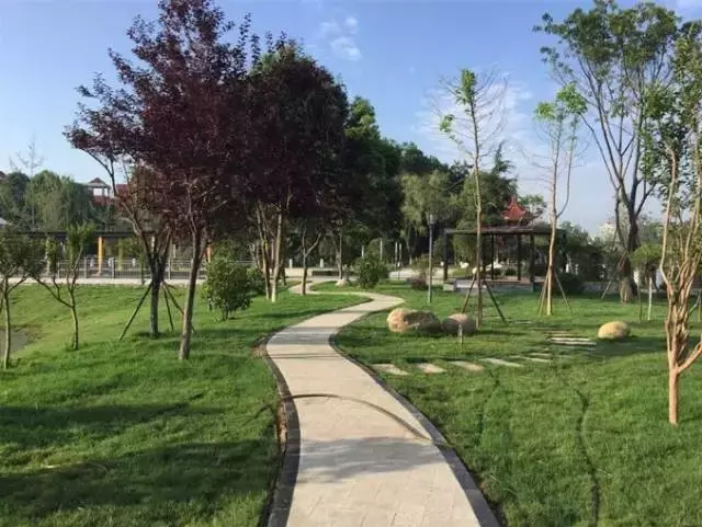 走进成都三原外国语学校