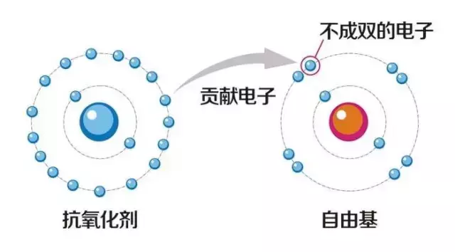 几岁开始用护肤品？用什么护肤品才好？