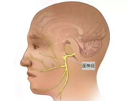 左眼皮跳跳，是财是祸？