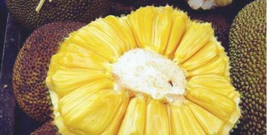菠萝蜜成熟的外壳图片图片